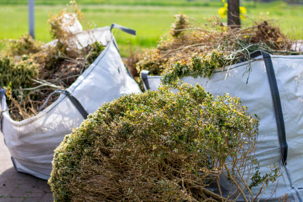 Best Trash Removal Near Me  in Schuyler, NE